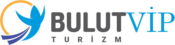 BulutVip Logo